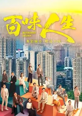 电视剧长夜灯火海报